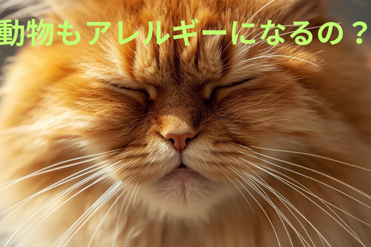 動物もアレルギーになるの？