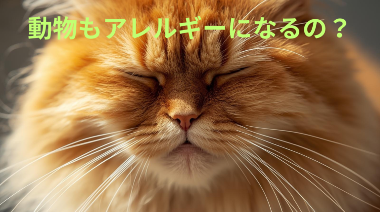 動物もアレルギーになるの？